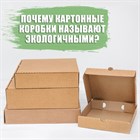 Почему картонные коробки называют экологичными?