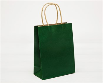 Пакет подарочный, 19х15х7,5 см, с кручеными ручками, зеленый - фото 9955