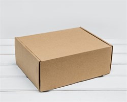 Коробка для посылок, 25х20х10 см, из плотного картона, крафт