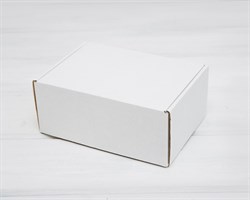 Коробка для посылок, 21х15х9 см, белая