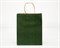 УЦЕНКА Пакет подарочный, 26х21х10 см, с кручеными ручками, зеленый У0702005-УЦ - фото 11541