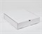 Коробка из плотного картона 31х31х7 см, белая - фото 13600