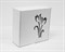 Коробка подарочная с окошком «Тюльпаны», 25х25х10 см, белая - фото 13862