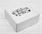 Подарочная коробка «С Новым Годом», 20х20х9 см, из плотного картона, белая У1208058 - фото 14982