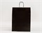 Пакет бумажный, 45х35х15 см, с кручеными ручками, черный У0703027 - фото 9586