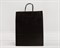 Пакет бумажный, 40х32х13 см, с кручеными ручками, черный У0703026 - фото 9588