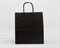 Пакет бумажный, 31х28х14 см, с кручеными ручками, черный У0703024 - фото 9593 Пакет бумажный, 31х28х14 см, с кручеными ручками, черный У0703024 - фото 9593