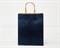 Пакет подарочный, 26х21х10 см, с кручеными ручками, синий У0702006 - фото 9952